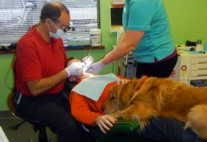 Cuddly Canine Takes Bite out of Pediatric Dental Fear