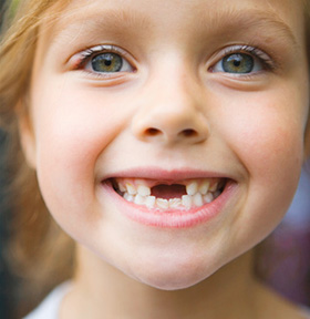 The Abilities of Exfoliated Deciduous Teeth