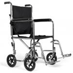 Stainless Steel Companion Chair